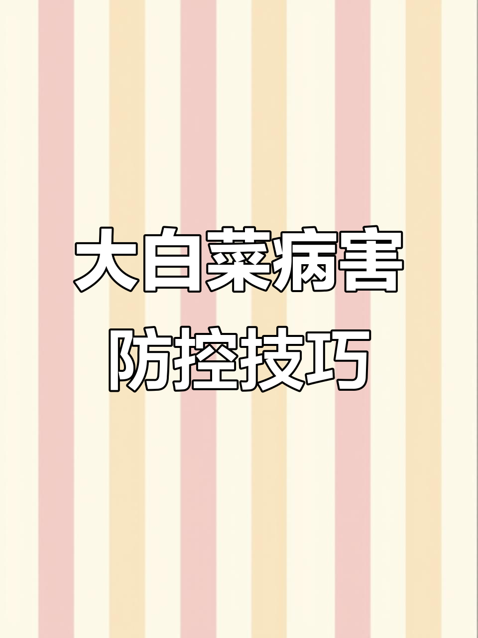 白菜病虫害防治全攻略,轻松应对常见问题