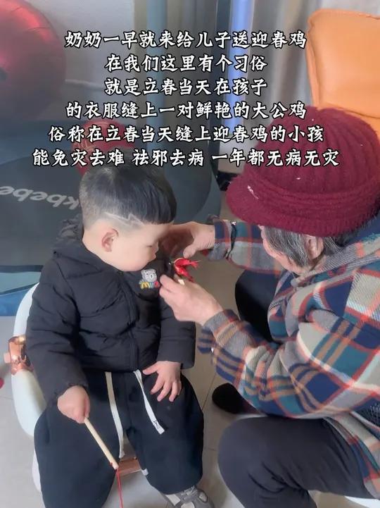 打春的娃娃:迎春的鸡 戴春鸡:太奶奶牌打春鸡已安排 寓意:丰衣足食,茁壮成长,吉祥如意,健