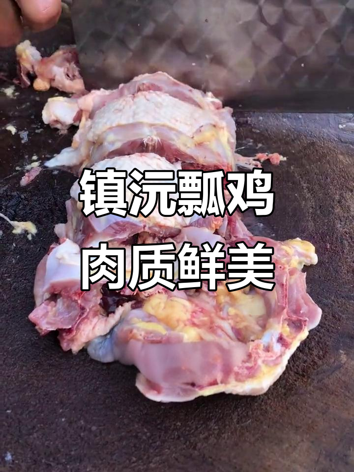镇沅瓢鸡:比土鸡更美味,绿色养殖新风潮