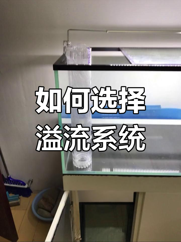 直角溢流与三重溢流的优缺点分析,选哪种更适合大型鱼缸?