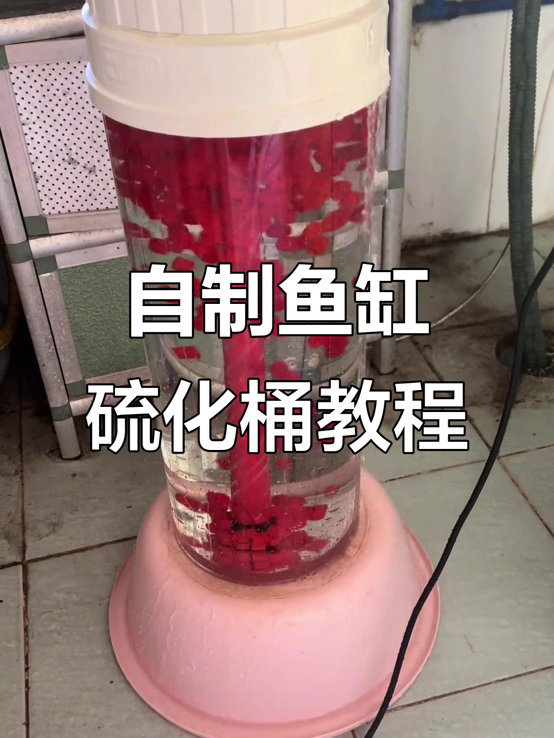 教你DIY鱼缸硫化桶,轻松打造低滤系统