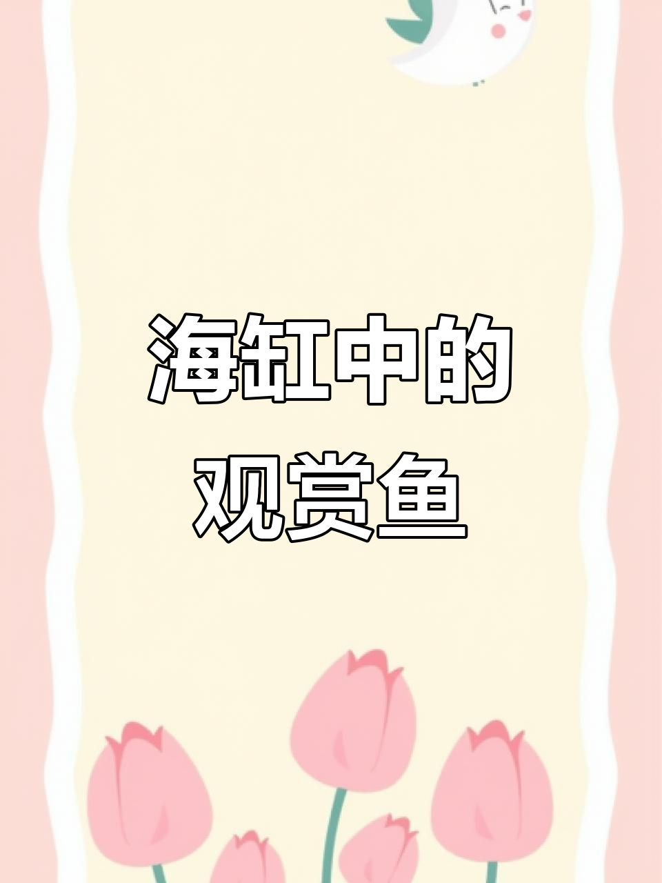 60海缸里的美丽鱼群,珊瑚与海水鱼的完美融合