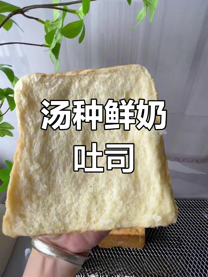 用汤种做的鲜奶吐司,柔软又持久
