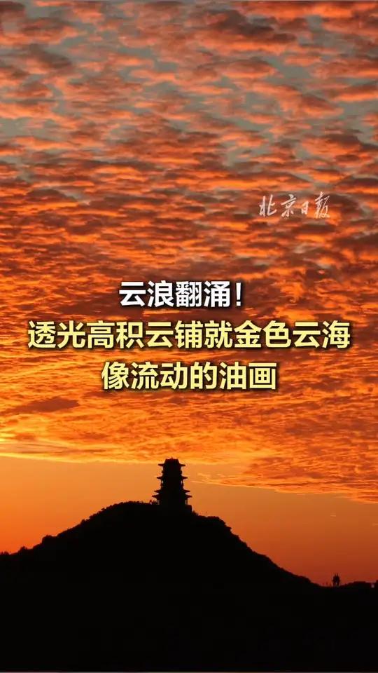 「云浪翻涌!今晨透光高积云铺就金色云海像流动的油画」今天清晨,北京日报拍客捕捉到绝美画面: