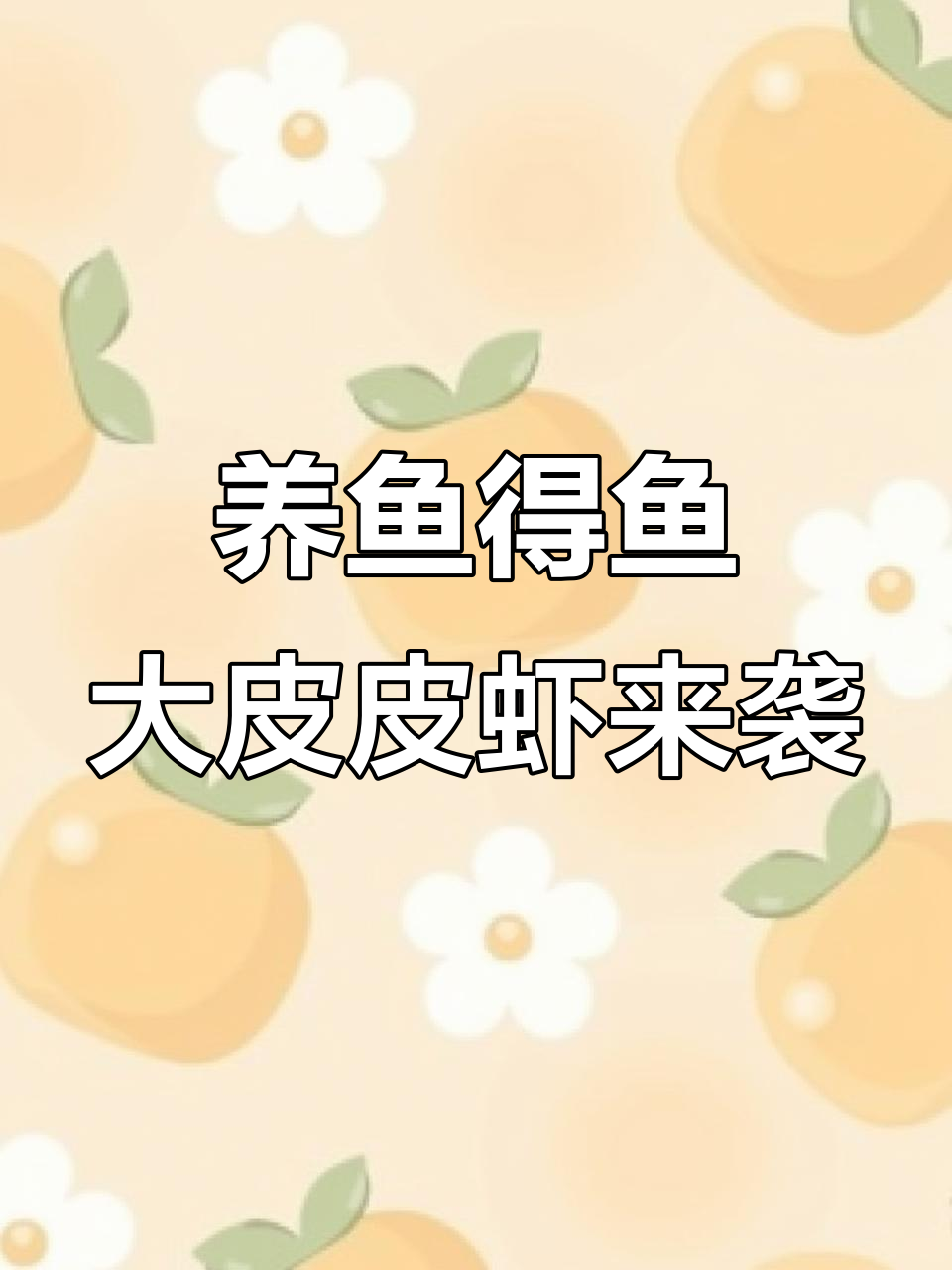 皮皮虾与螳螂虾的奇妙世界,王小怪也爱它们