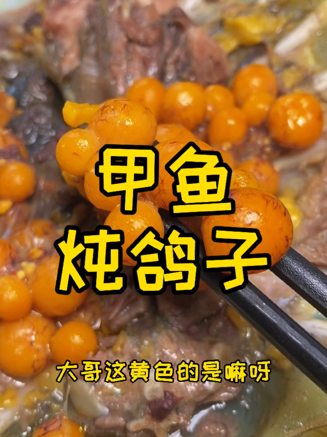 甲鱼炖鸽子