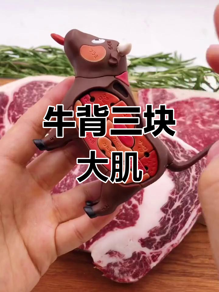 牛背部三大部位解析,眼肉最美味
