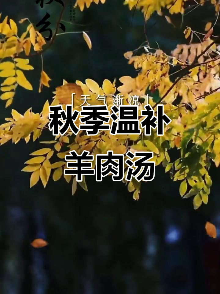 秋分到,宁夏盐滩羊肉汤滋补养生,温暖身心