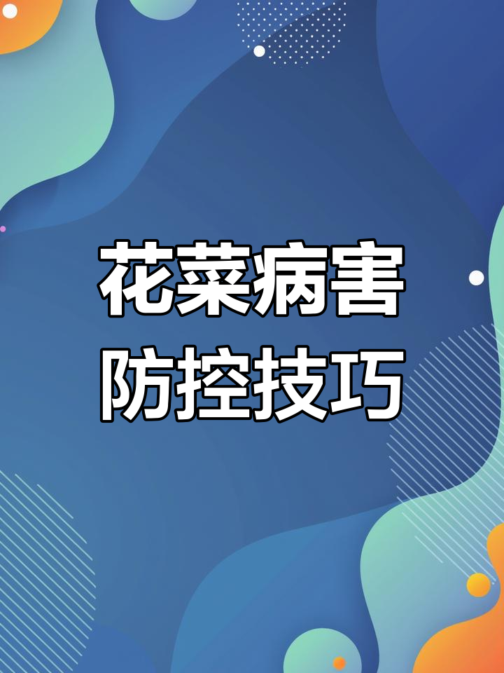 2022年花菜病虫害防治全攻略,新农人必看