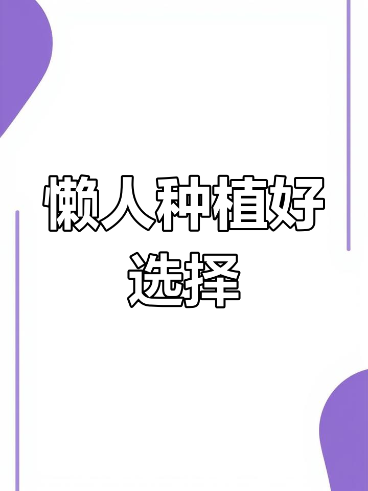 豌豆苗易种耐寒,多茬收获,煮汤火锅炒菜皆宜