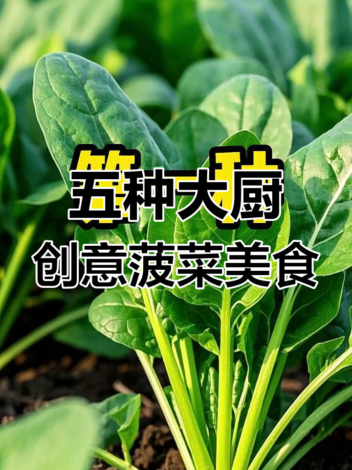 菠菜饺子新做法,营养又美味!