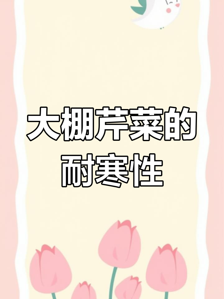 冬季大棚芹菜种植技巧