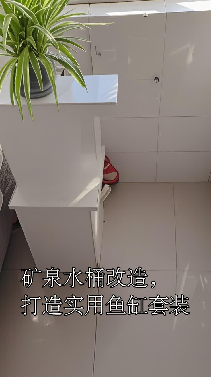 矿泉水桶改造,打造实用鱼缸套装