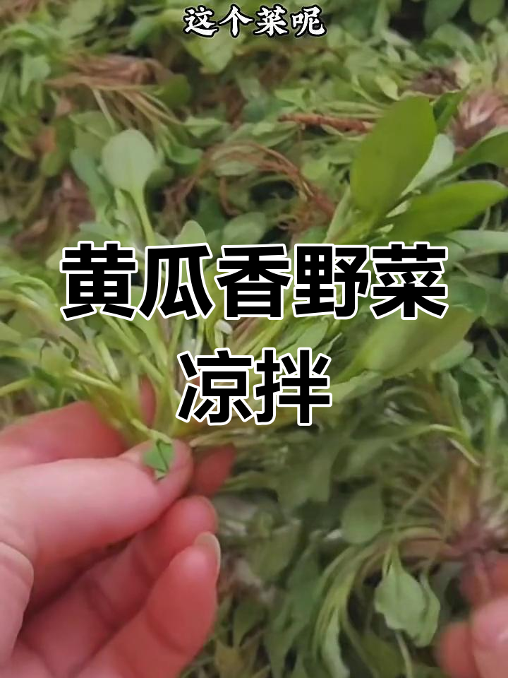 黄瓜香野菜凉拌做法,简单又美味