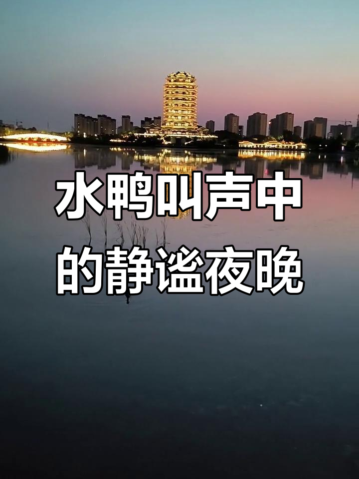 夜晚公园里的水鸭鸣叫,让人感觉更加宁静