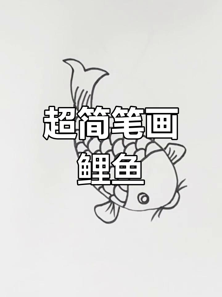 轻松学画鲤鱼，简单几步搞定