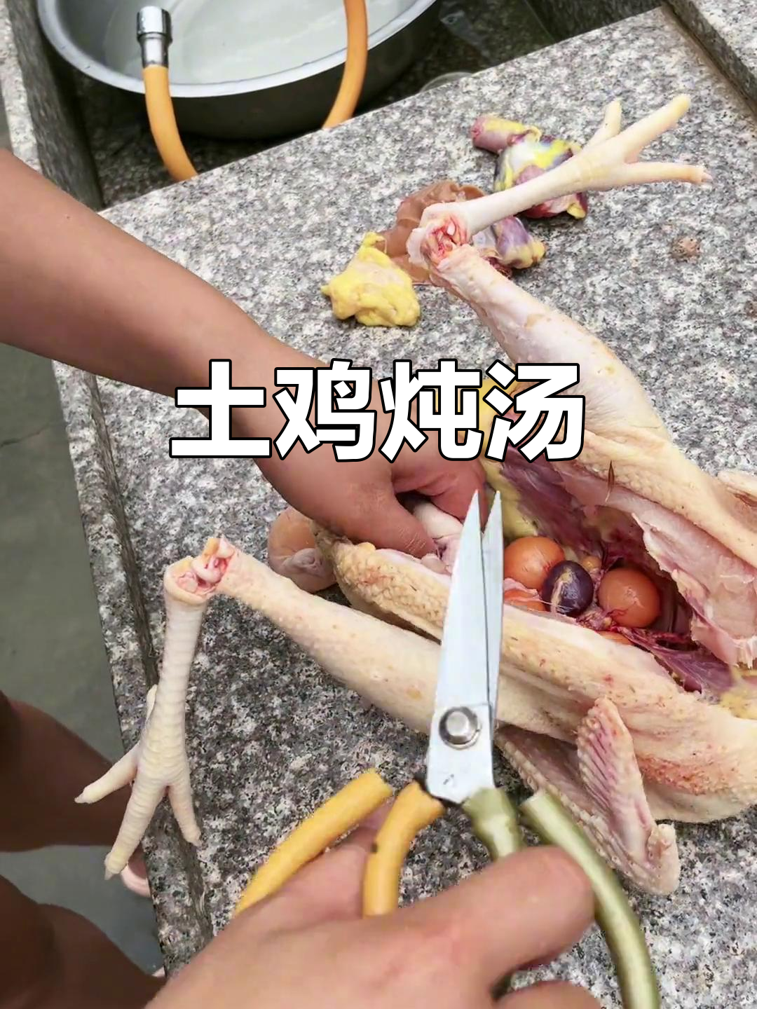 农村散养土鸡炖鲍鱼,营养满满的美味鸡汤
