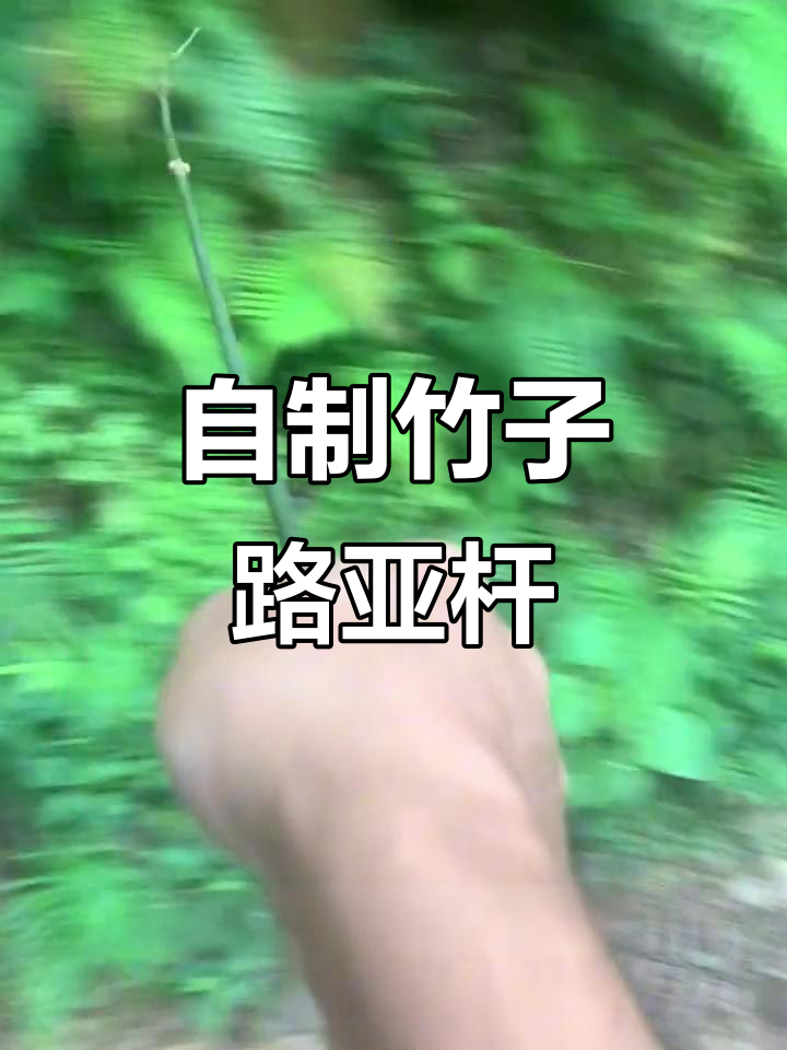 竹子鱼竿DIY,简单又实用!