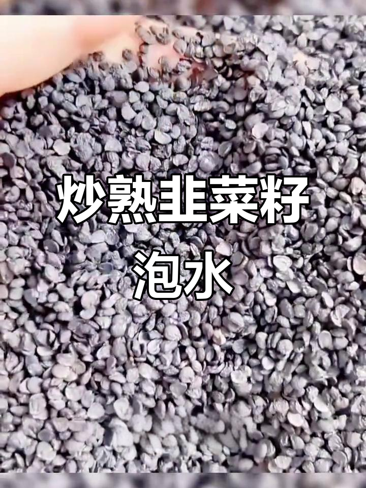 正宗野生韭菜籽炒熟,泡茶喝效果更佳