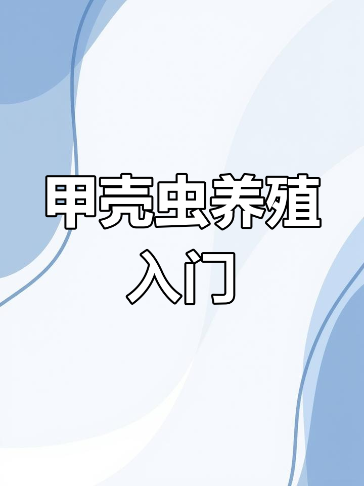 如何养殖甲壳虫?黄粉虫与蛋白虫的养护技巧