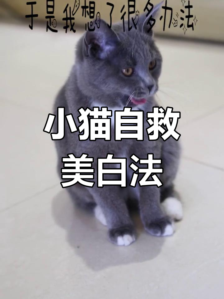 肉丸儿变黑?看我如何逆袭成白嫩小猫咪!
