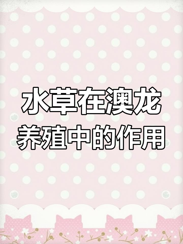 澳洲淡水龙虾养殖中的水草作用,原来这么重要!