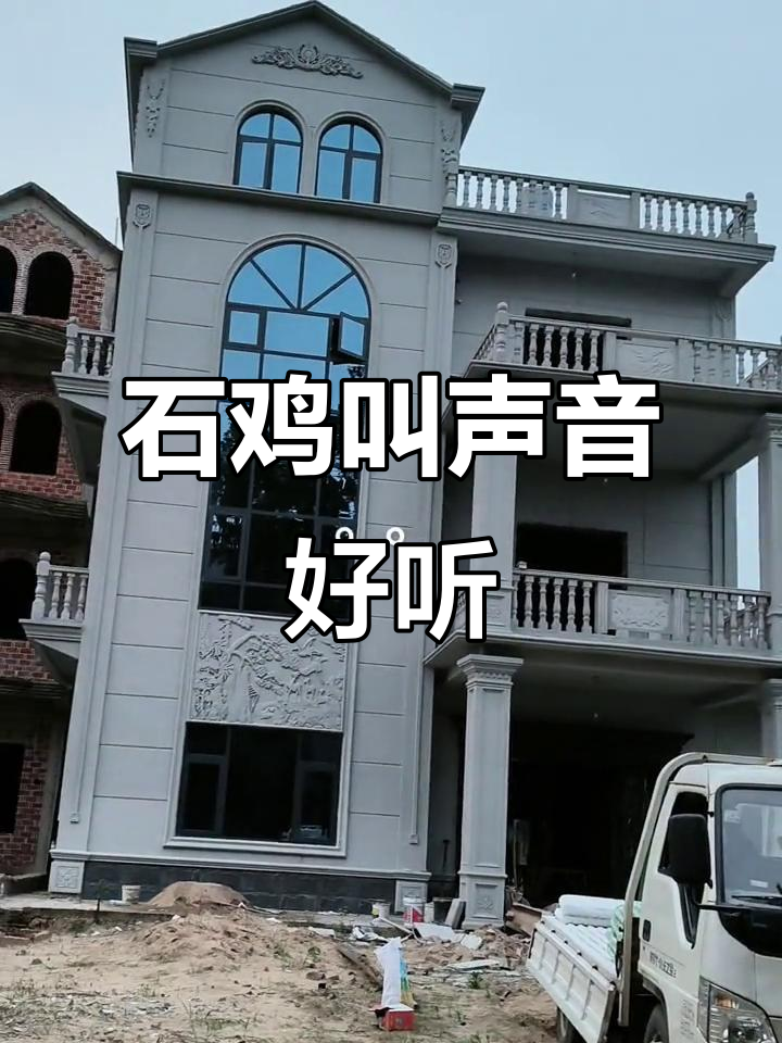 石鸡叫声太美妙,听一次上瘾!