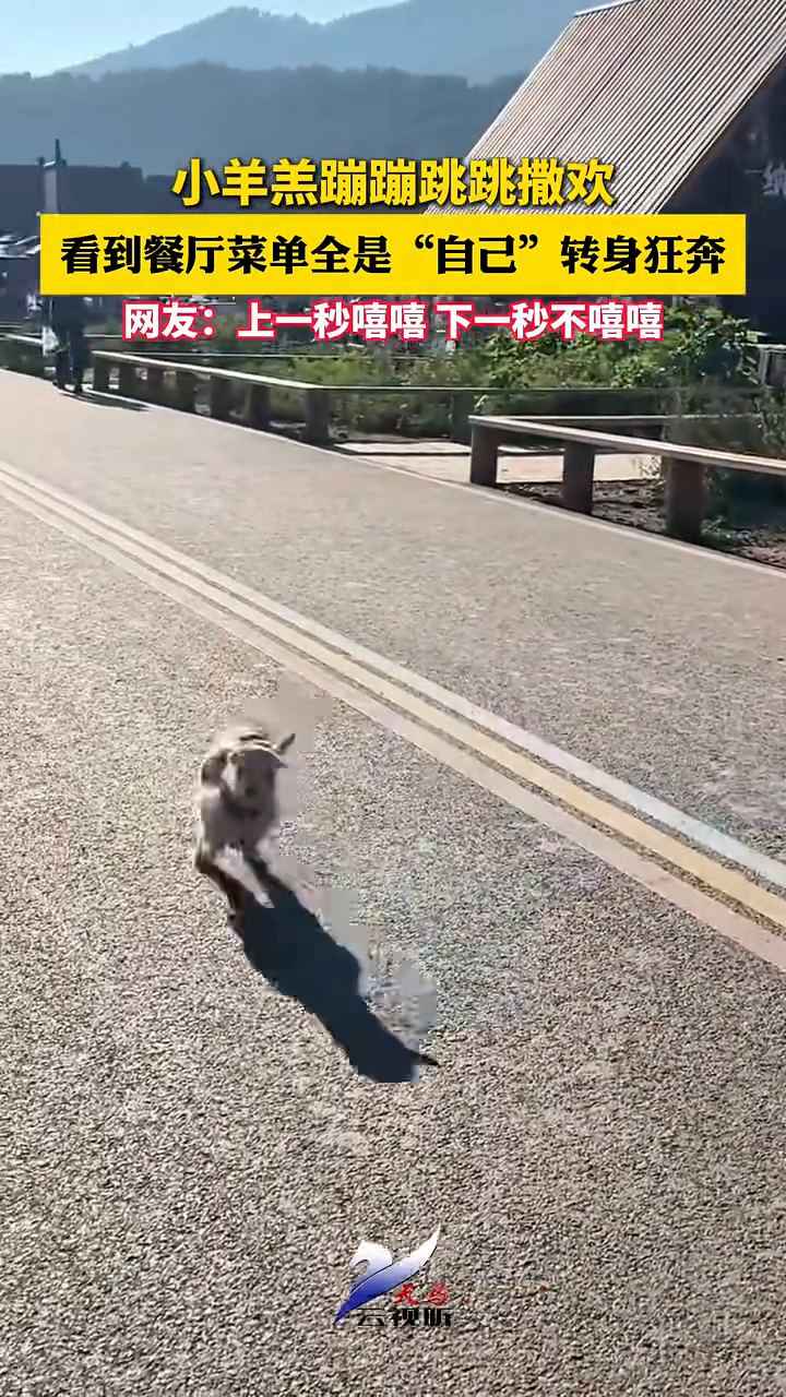 小羊羔蹦蹦跳跳撒欢,看到餐厅菜单全是“自己”转身狂奔