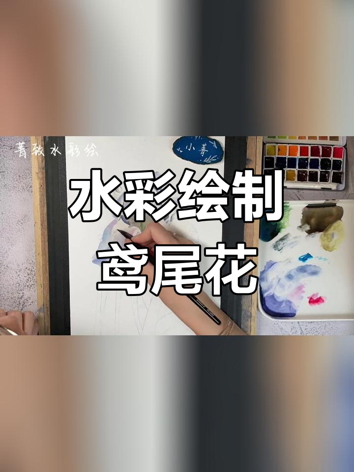 白色鸢尾花的水彩临摹