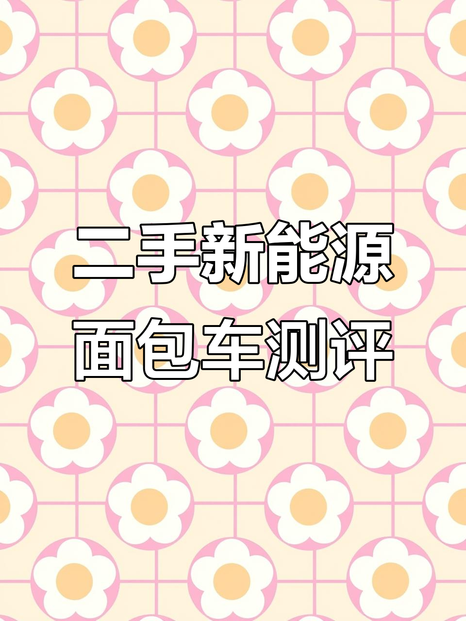 二手纯电动面包车评测：北京牌中面，性能与配置详解