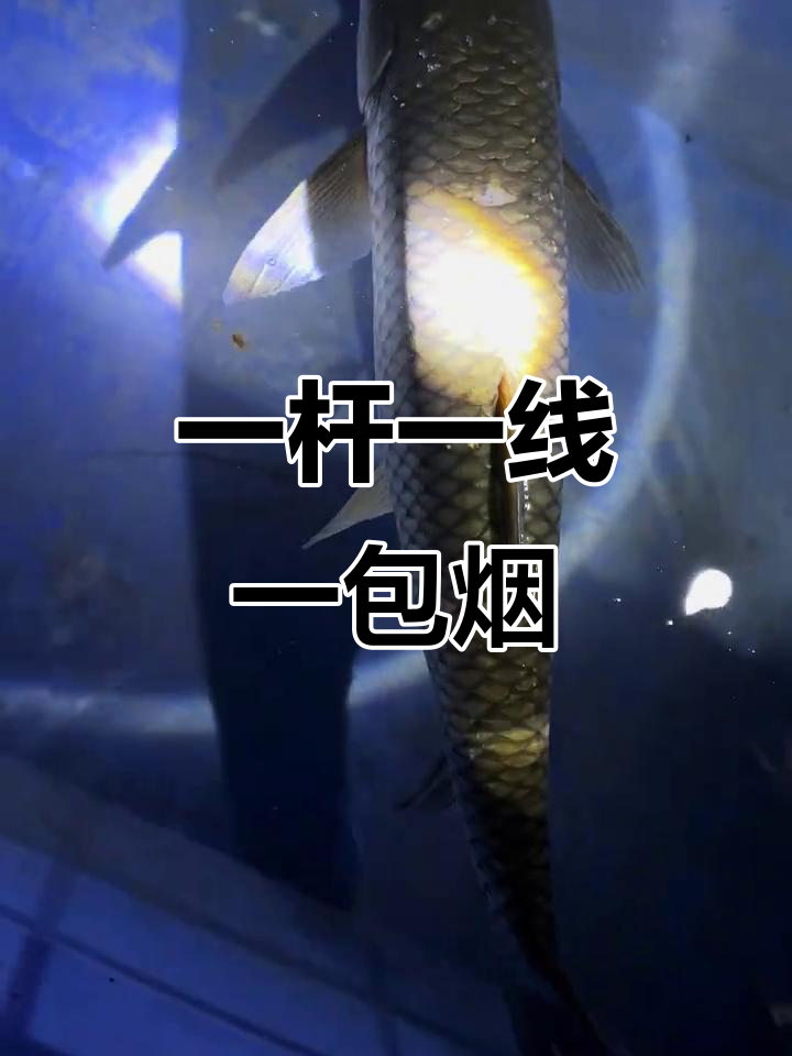 钓鱼不装逼,怎么发朋友圈?