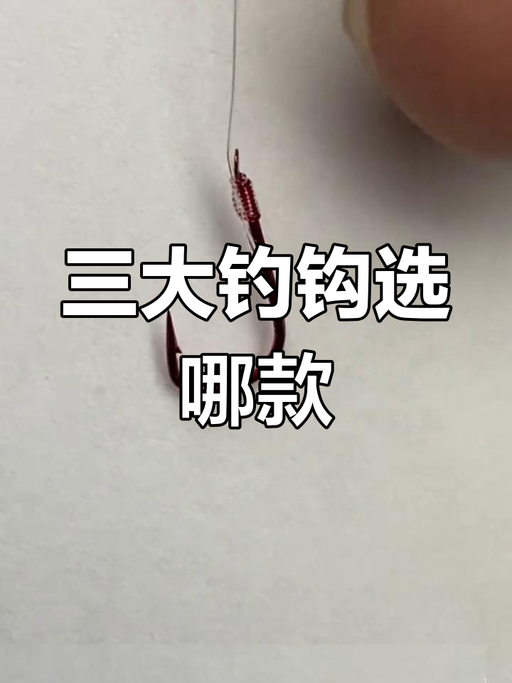 冬季钓鱼必备!这三种鱼钩最适合哪种鱼类?