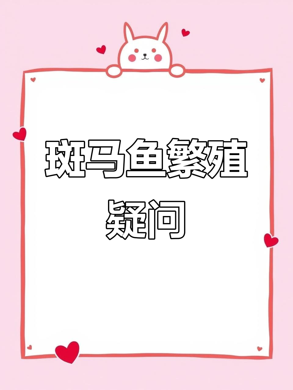 第一次养斑马鱼,肚子大但没产卵,多久能生小宝宝呢?