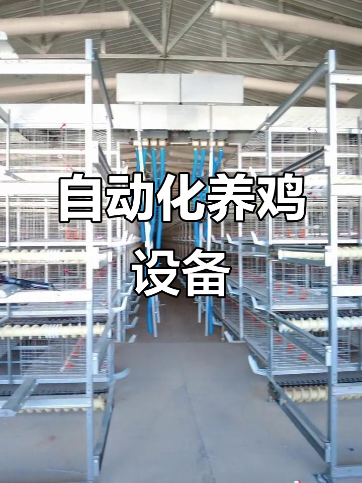 自动化育雏设备,轻松养殖,提升效率