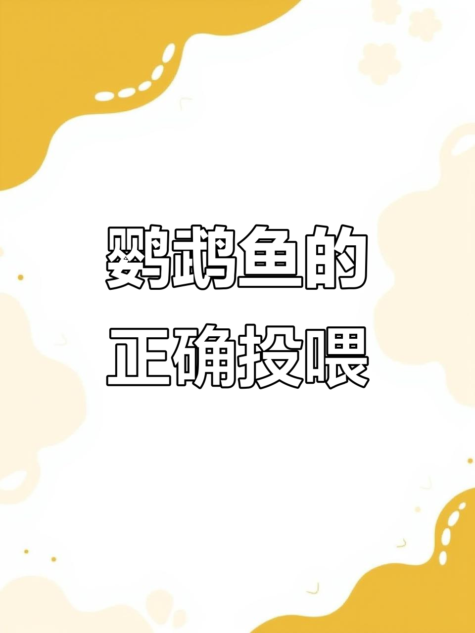 鹦鹉鱼喂食频率与技巧,幼鱼成鱼都该怎么吃