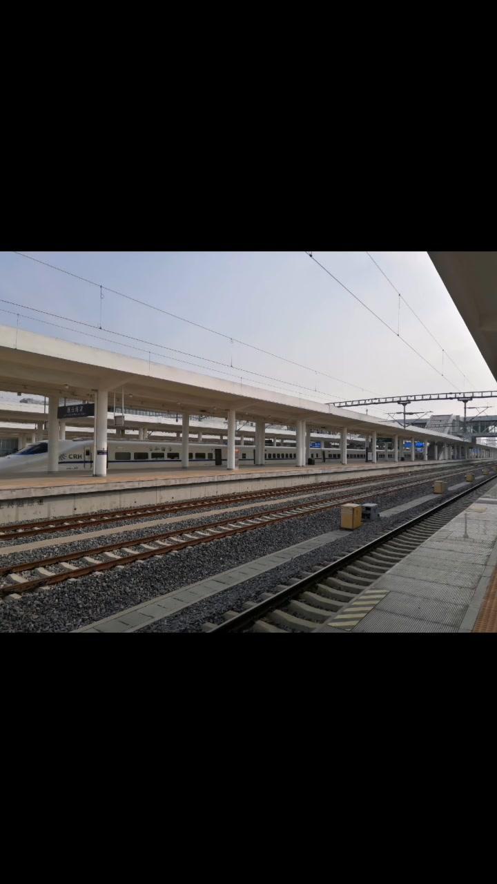 五一假期防踩坑,来青岛的注意啦。不坐门口黑车(叫喊着拉客),宰客贼拉狠!出租车分普通型和礼