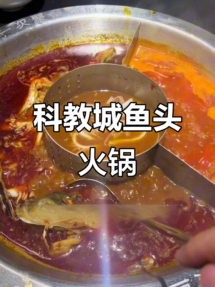 广州科教城鱼头火锅,百叶海带芽牛蛙必试!