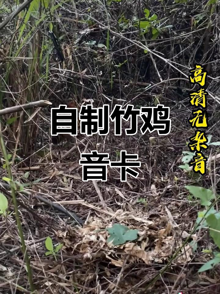 竹鸡音卡制作：户外播放器DIY教程