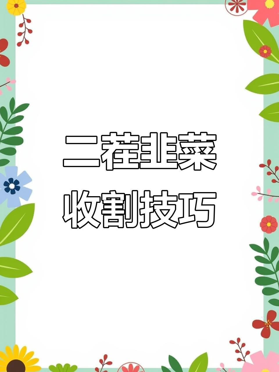 曹妃甸韭菜种植秘辛:如何割二茬,养根又高产