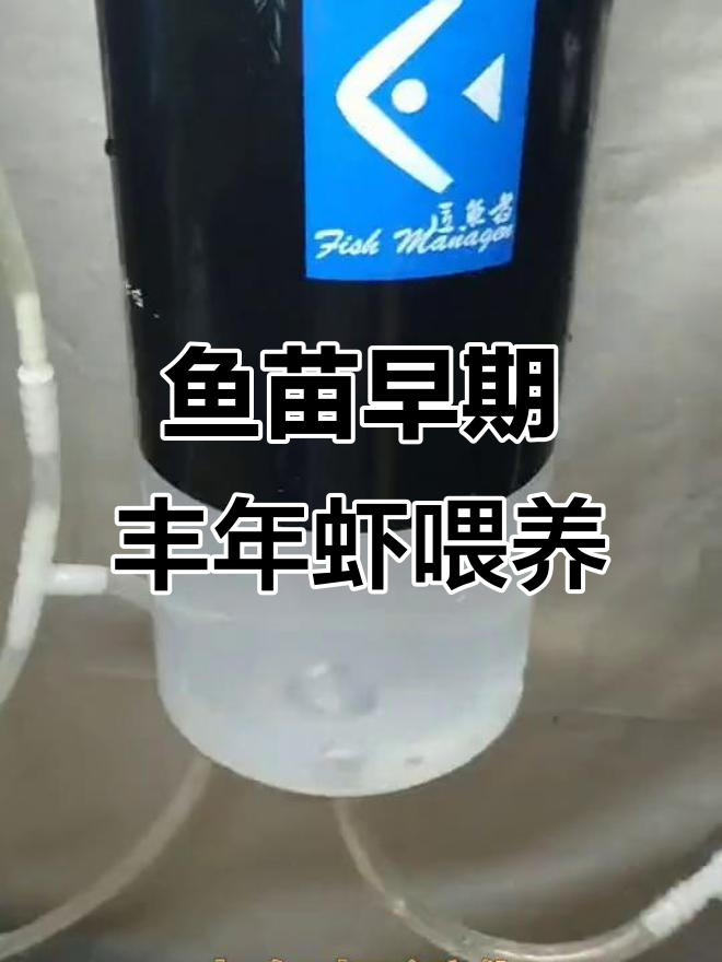 丰年虾孵化技巧:从喂食到过滤全攻略