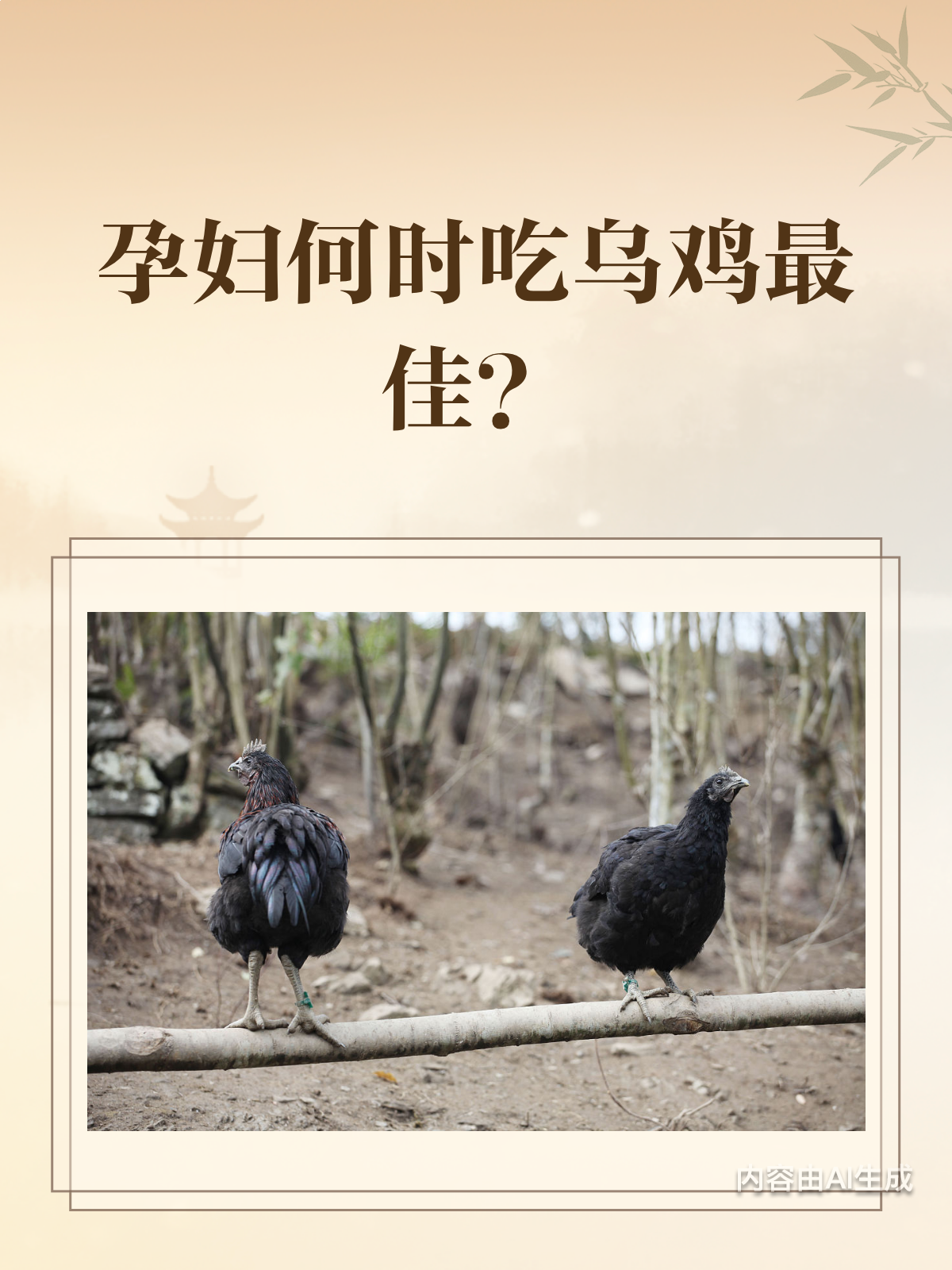 孕妇吃乌鸡,时间有讲究吗?