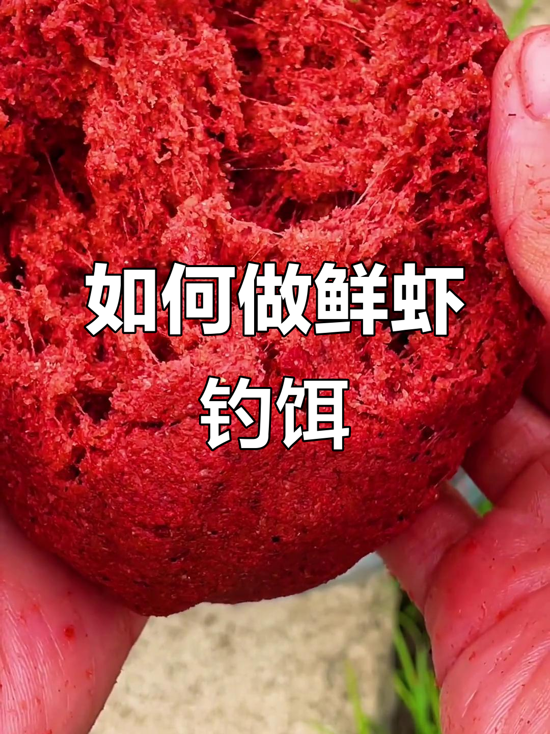 冬季鲜虾钓饵制作技巧,轻松学会开饵方法