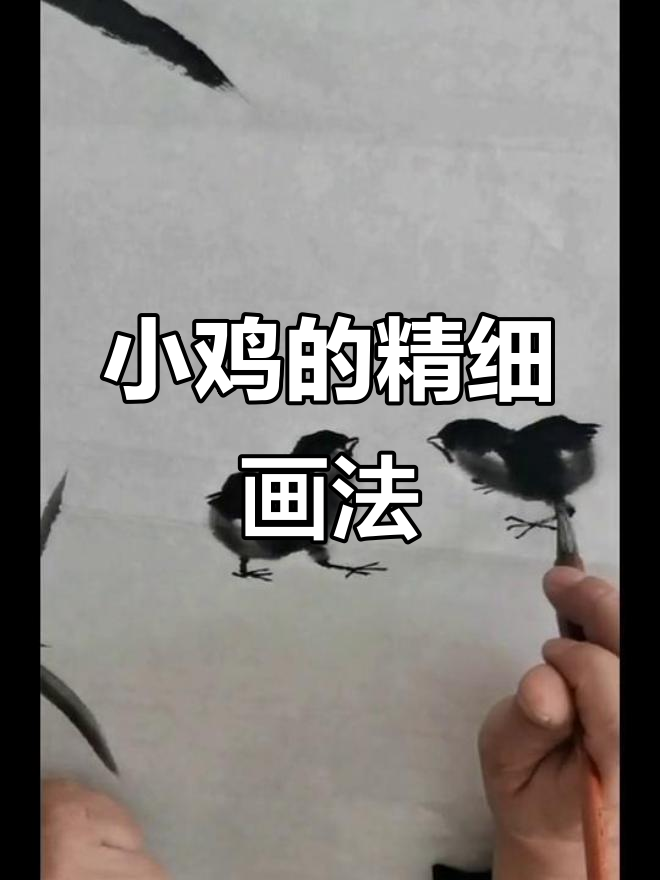 毛笔绘小鸡，翅膀与爪子的细腻刻画