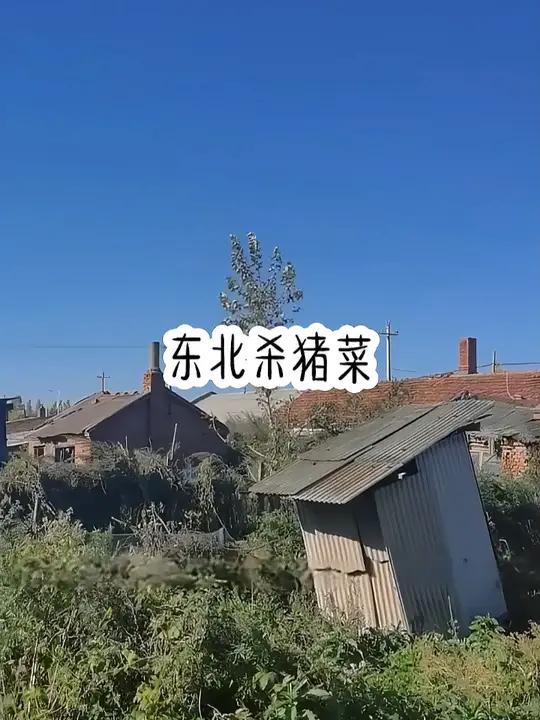 一口酸菜汤,喝的是家的味道!想家就常回家看看!致每一个IP在外的你 东北 杀猪菜 家在东北