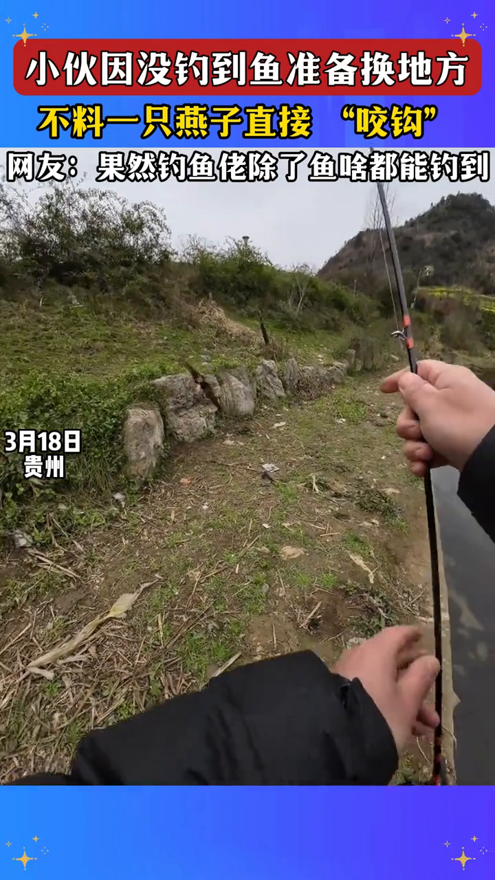 小伙因没钓到鱼准备换地方,不料一只燕子直接 “咬钩”