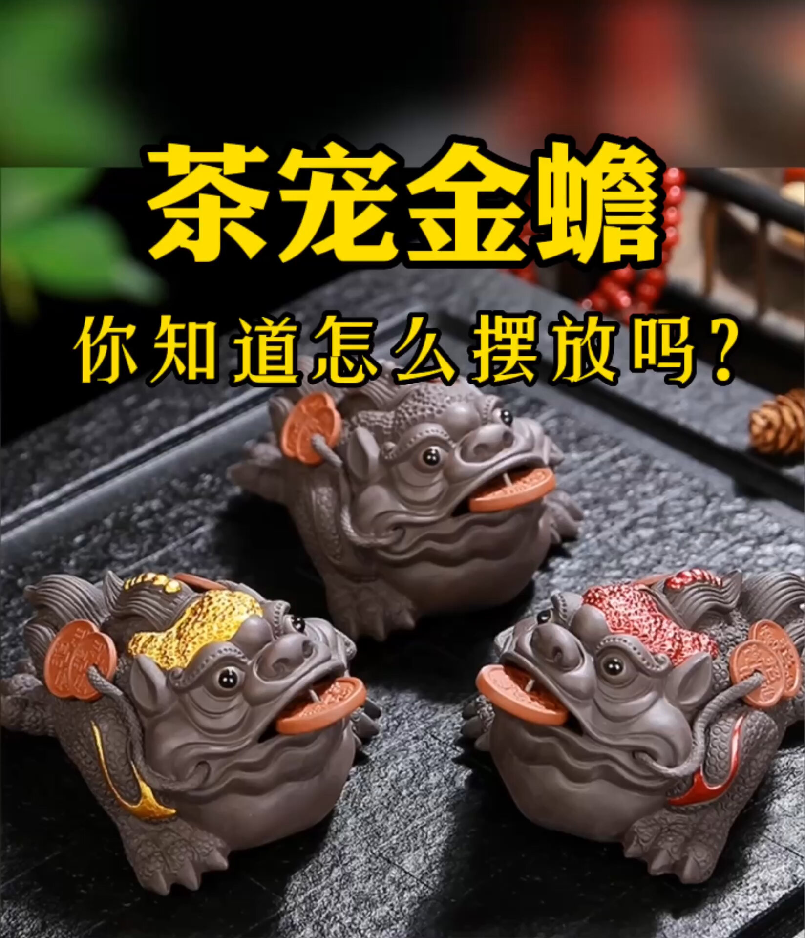 茶宠金蟾的寓意和摆放生活中的讲究学