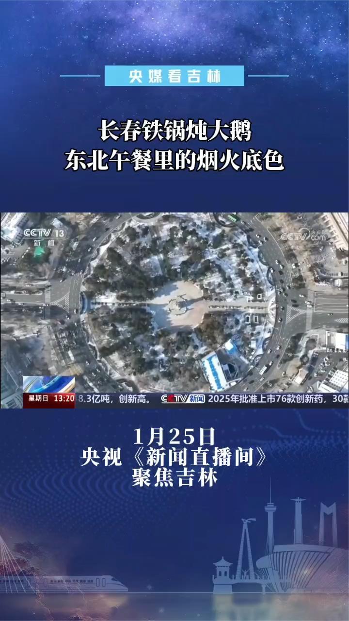 长春铁锅炖大鹅 东北午餐里的烟火底色