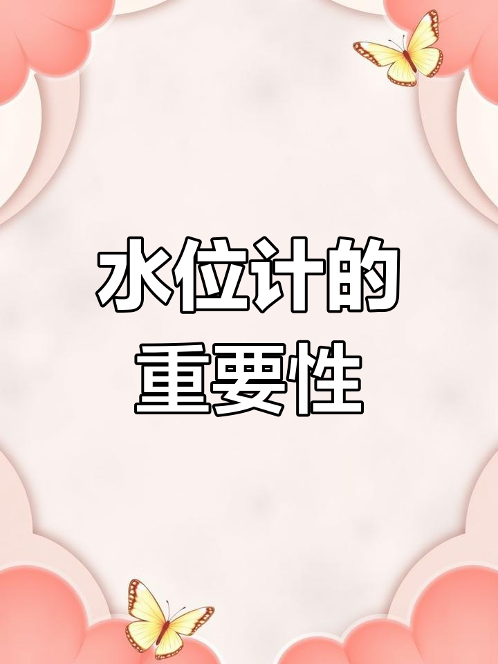 锅炉水位计,保障蒸汽安全的关键部件