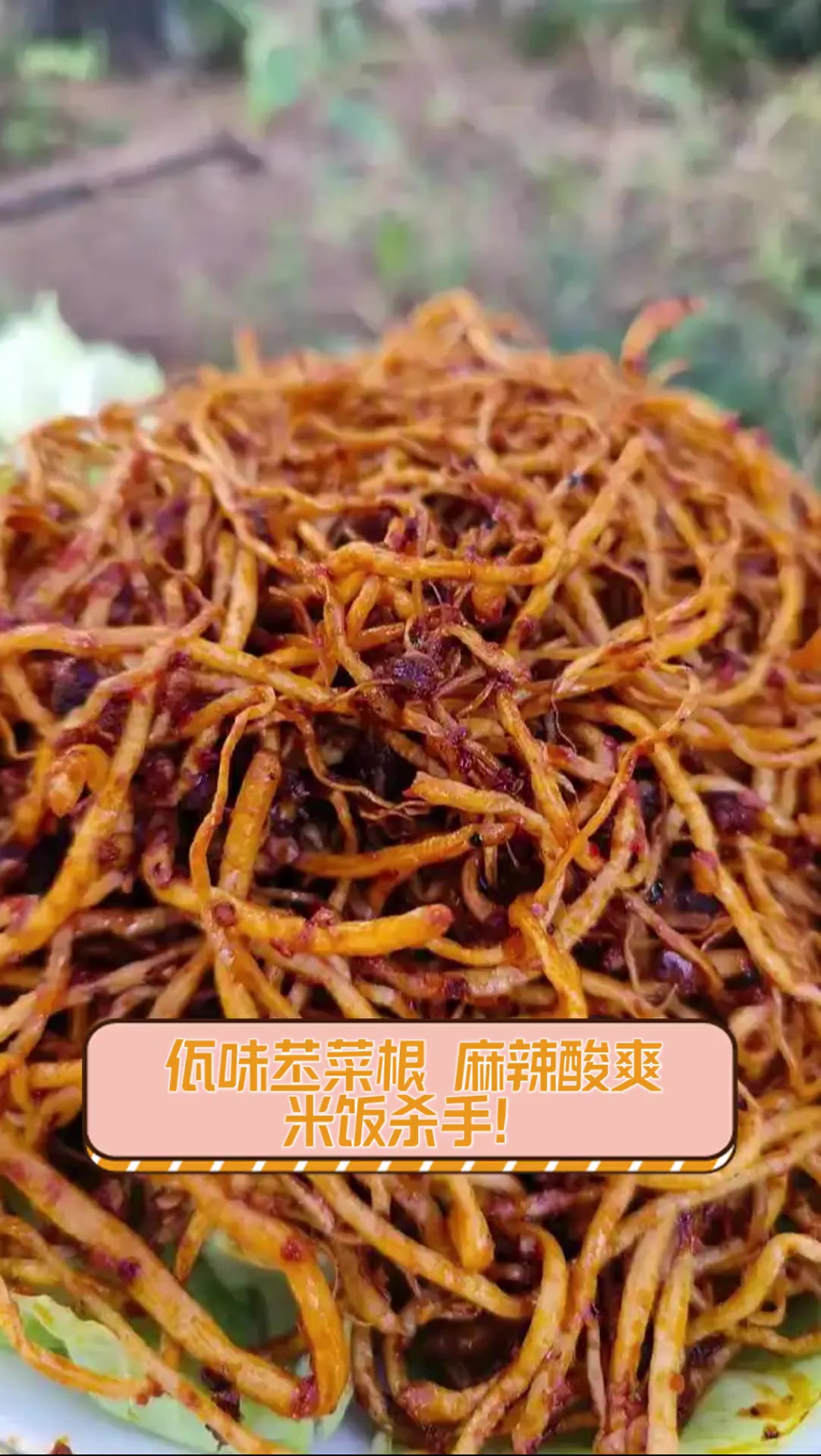 佤味苤菜根,麻辣酸爽,米饭杀手!