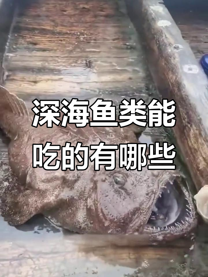 这些深海鱼能吃,但有些千万别碰!